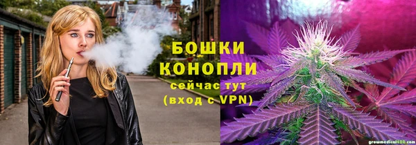 сатива Алексин